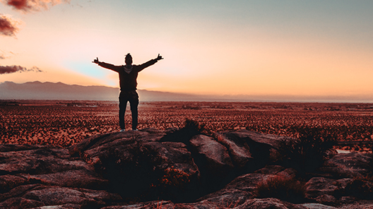 Schau dir dieses erstaunliche Video an!